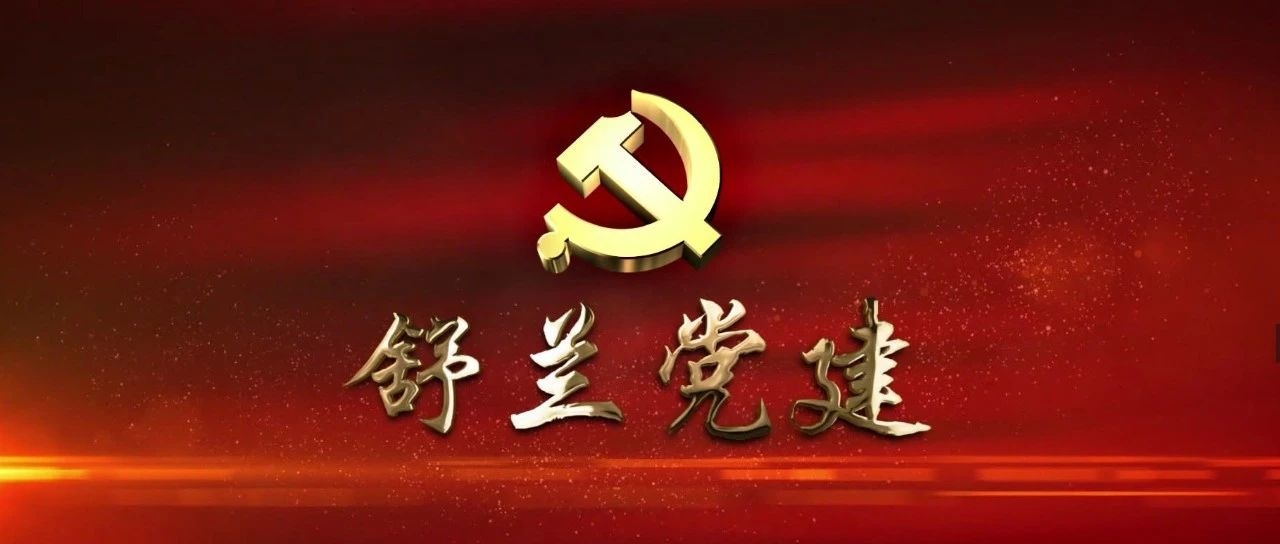 舒兰党建
