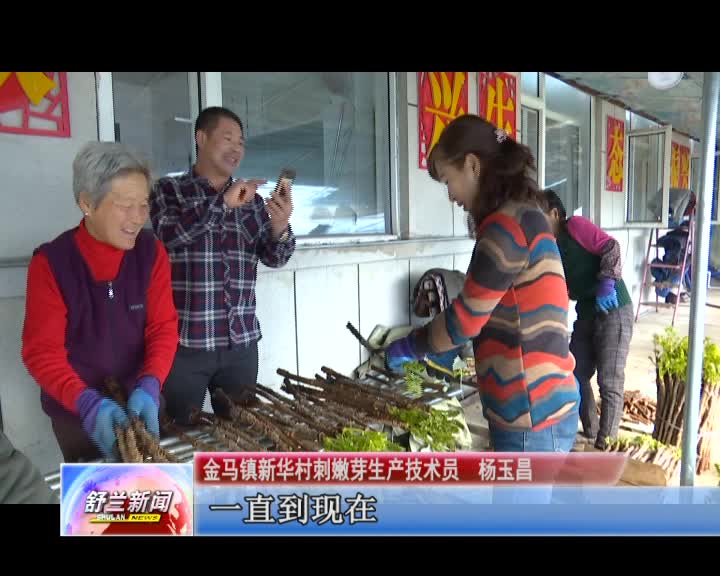 辛勤种出致富花