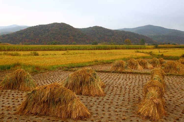 【游在舒兰】舒兰屋脊，大秃顶子山（一）