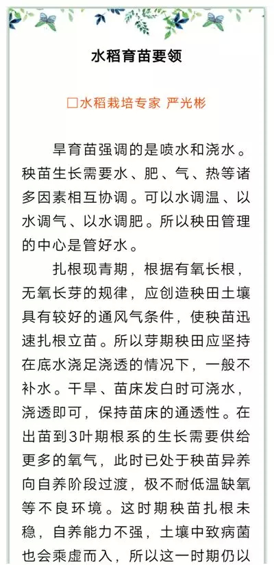 【专家支招】水稻育苗要领