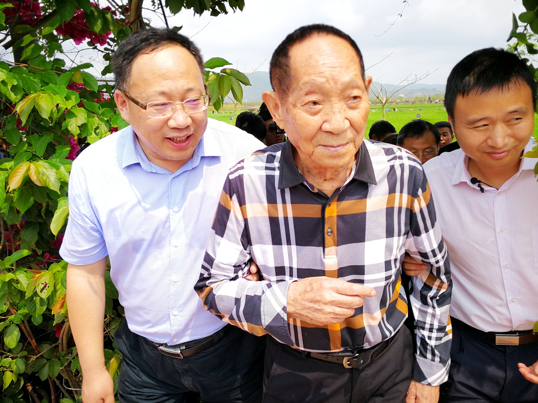 【重磅】了不得！三亚“偶遇”袁隆平，舒兰水稻育种得高人指点！