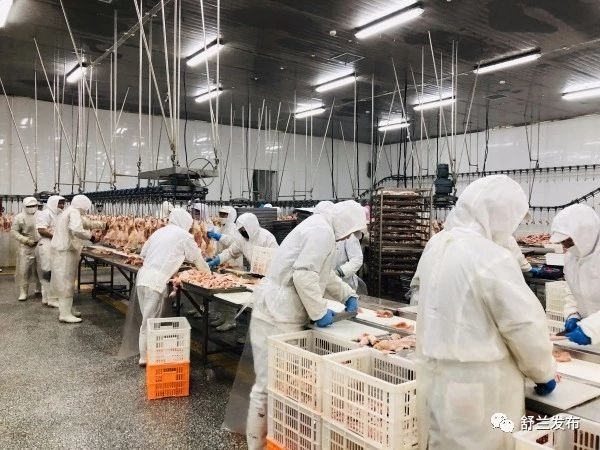 【江城日报 松花江网】北融食品俏销南方