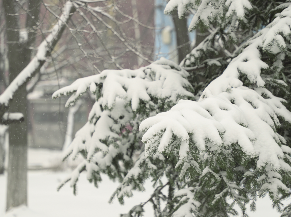 【气象应急服务】﻿舒兰市气象局发布暴雪蓝色预警 道路冰雪橙色预警