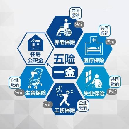 “五险”变“四险”！生育保险基金正式并入医保