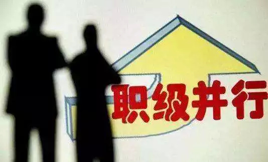 重磅！中办发布《公务员职务与职级并行规定》（全文）
