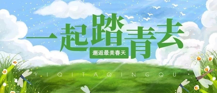 三月柳细风斜斜，正是踏青好时节