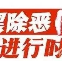 【扫黑除恶进行时】扫黑除恶专项斗争应知应会手册（二）