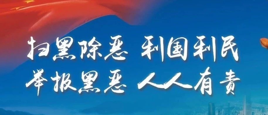 【扫黑除恶 时刻进行】扫黑除恶应知应会手册