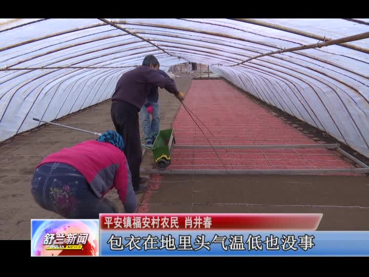 平安镇农民抢前抓早开展水稻育苗