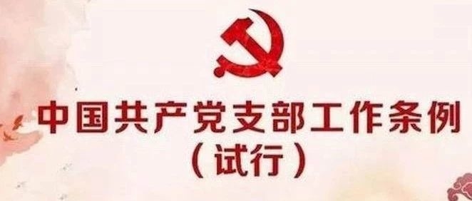 【党建】中国共产党支工作条例（试行）