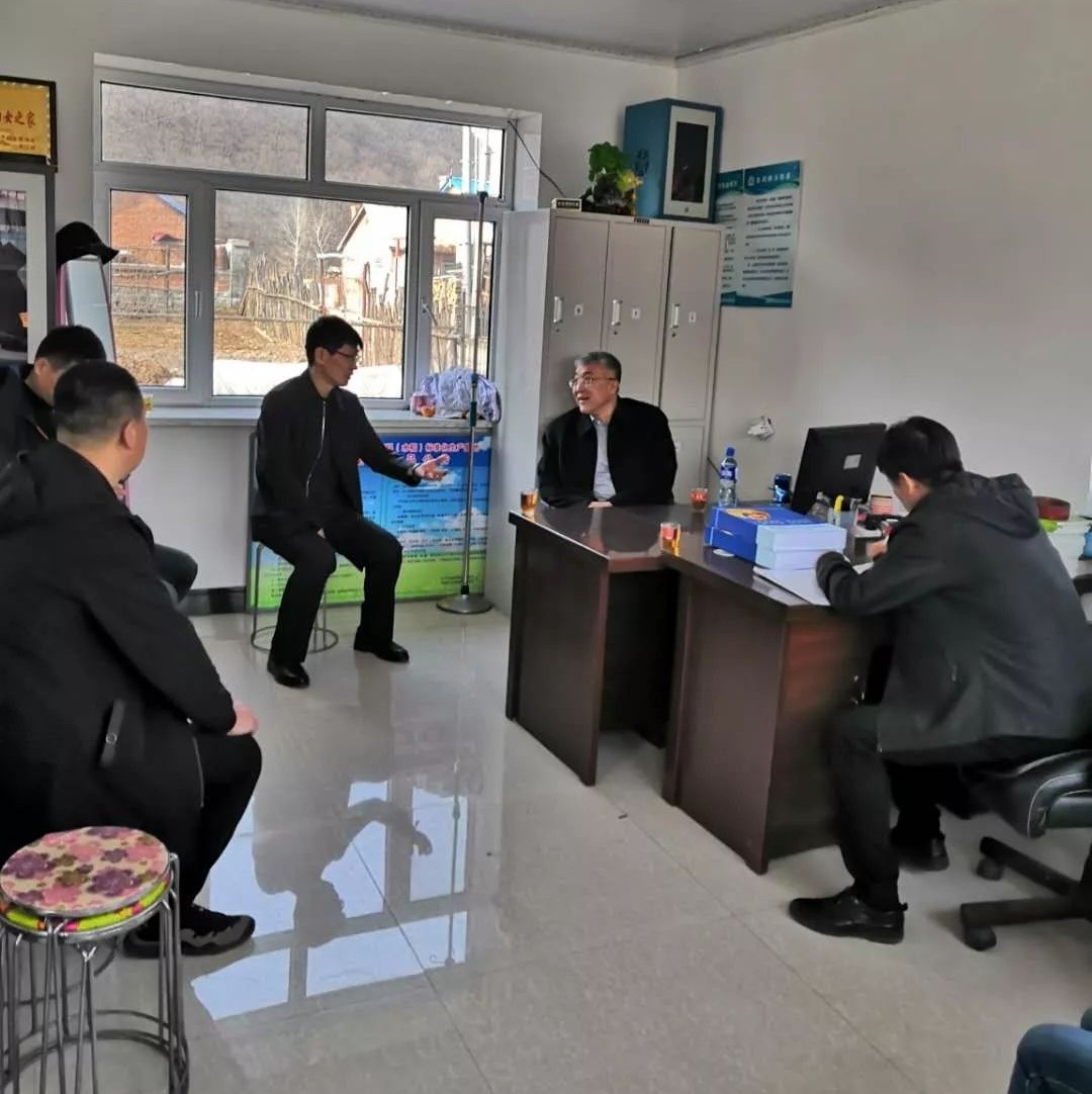 舒兰市领导督导调研软弱涣散村党组织整顿工作