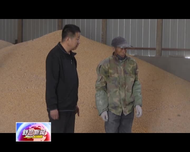 【爱国情 奋斗者】奚凯军：强村富民稻谷香