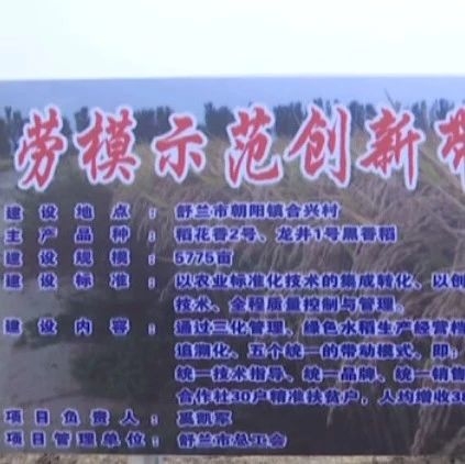 【爱国情  奋斗者】奚凯军：强村富民稻谷香
