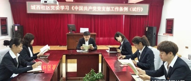 城西社区党委学习《中国共产党党支部工作条例（试行）》