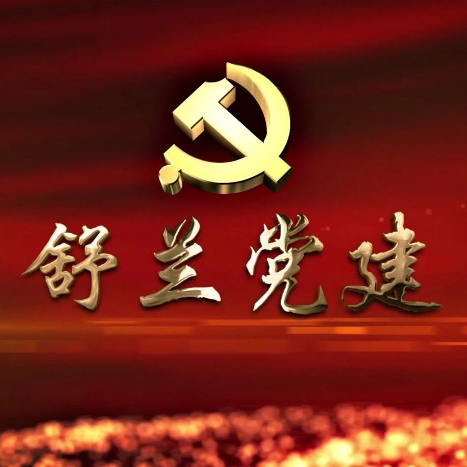 舒兰党建-中国共产党支部工作条例（下）