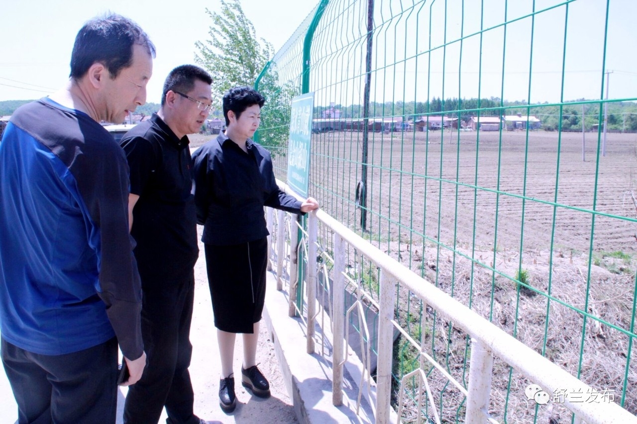 【河长制】舒兰市领导到吉舒街道开展巡河工作
