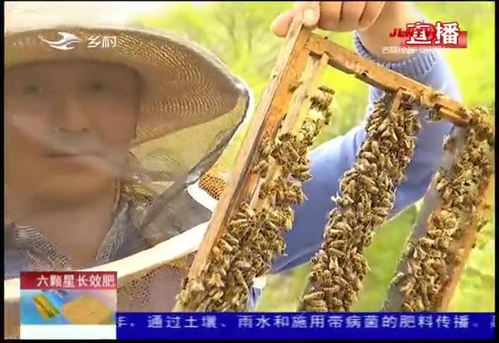 【乡村四季12316】“追花逐蜜”的养蜂人