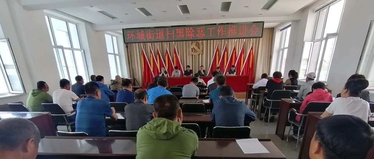 环城街道召开扫黑除恶工作推进会