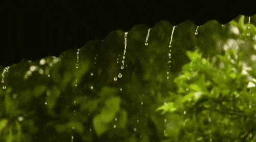 【预警】舒兰市将迎来持续降水天气，请注意防范！