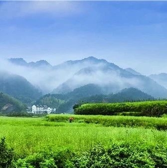 跟着镜头品诗词 | 雨:本来清净原无色