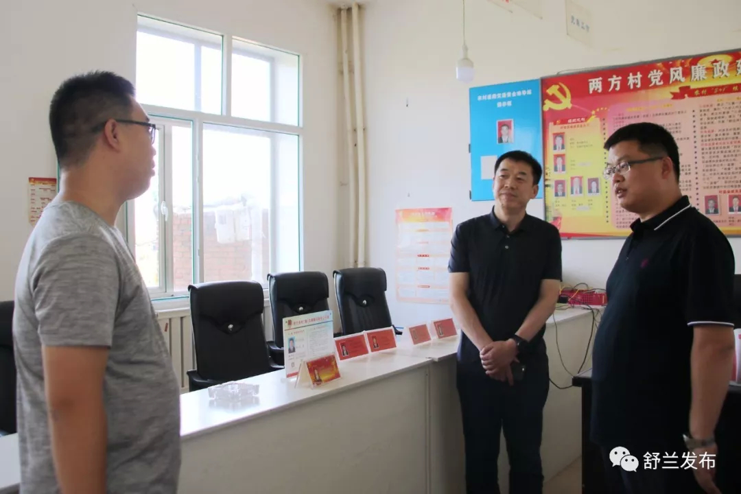 【要闻】舒兰市领导调研指导软弱涣散村党组织整顿工作