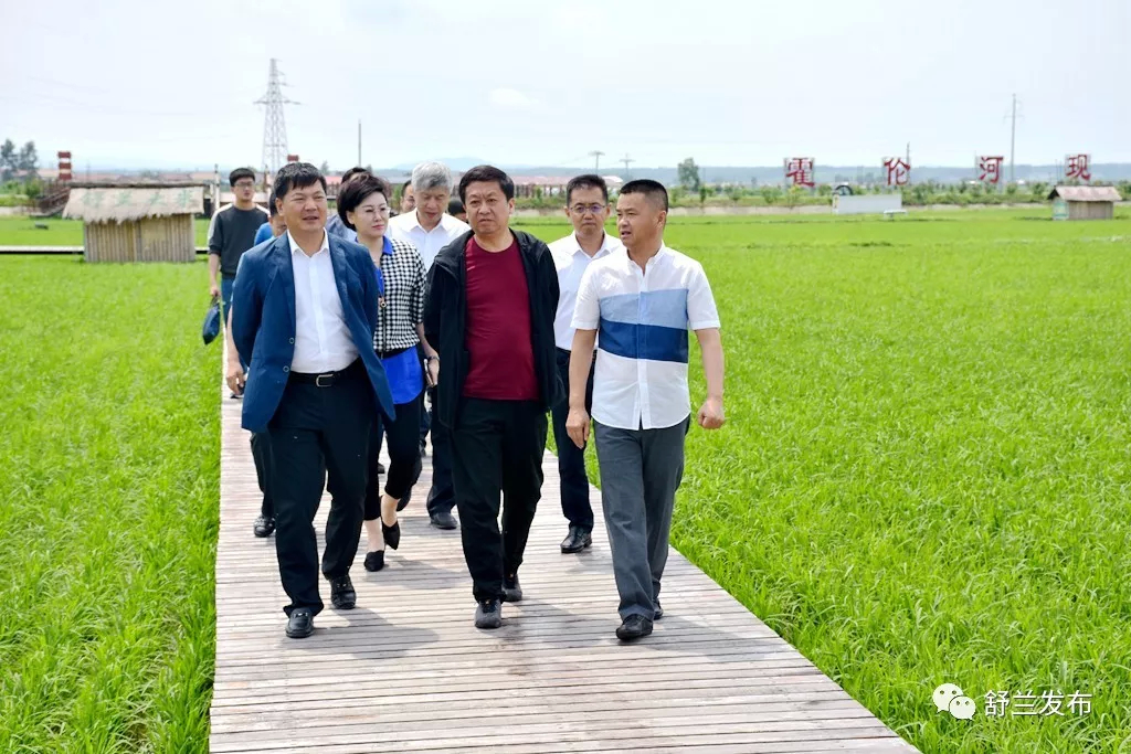 【调研】省粮食和物资储备局局长李国强带队到舒兰市调研大米品牌建设情况