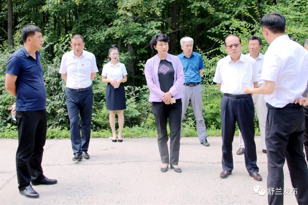 【头条】省交通运输厅厅长王振才到舒兰市调研“畅返不畅”农村公路和高速公路改扩建情况