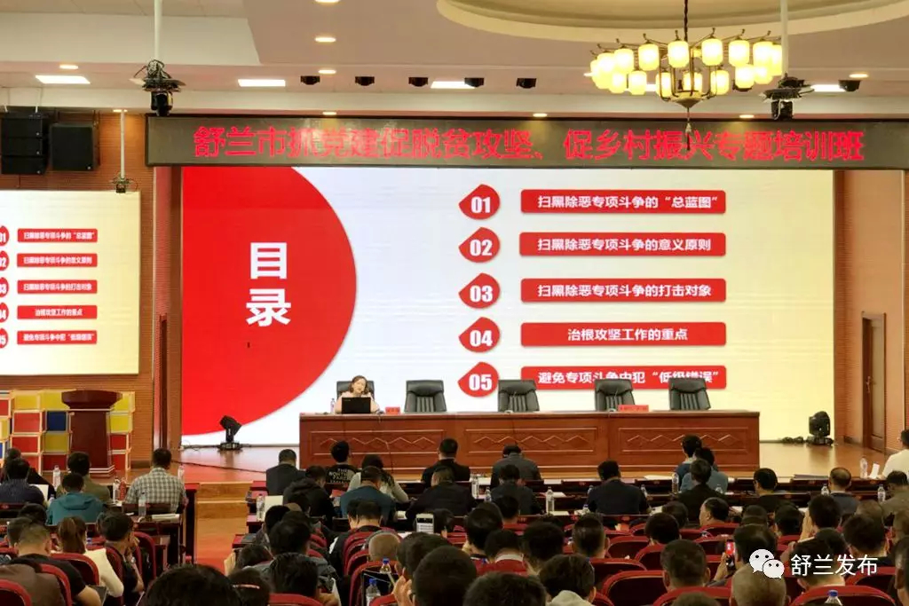 【头条】从严治党 | 舒兰：“五大举措”整顿软弱涣散村党组织