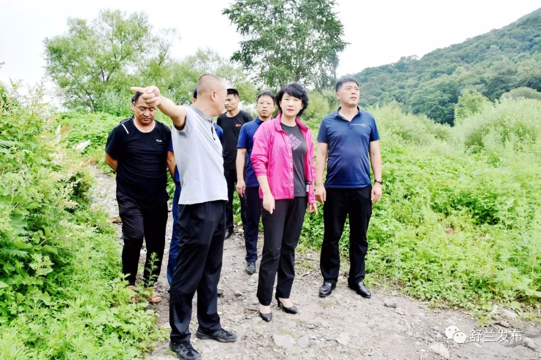 【要闻】舒兰市市长金华到上营镇检查山洪地质灾害点防范工作