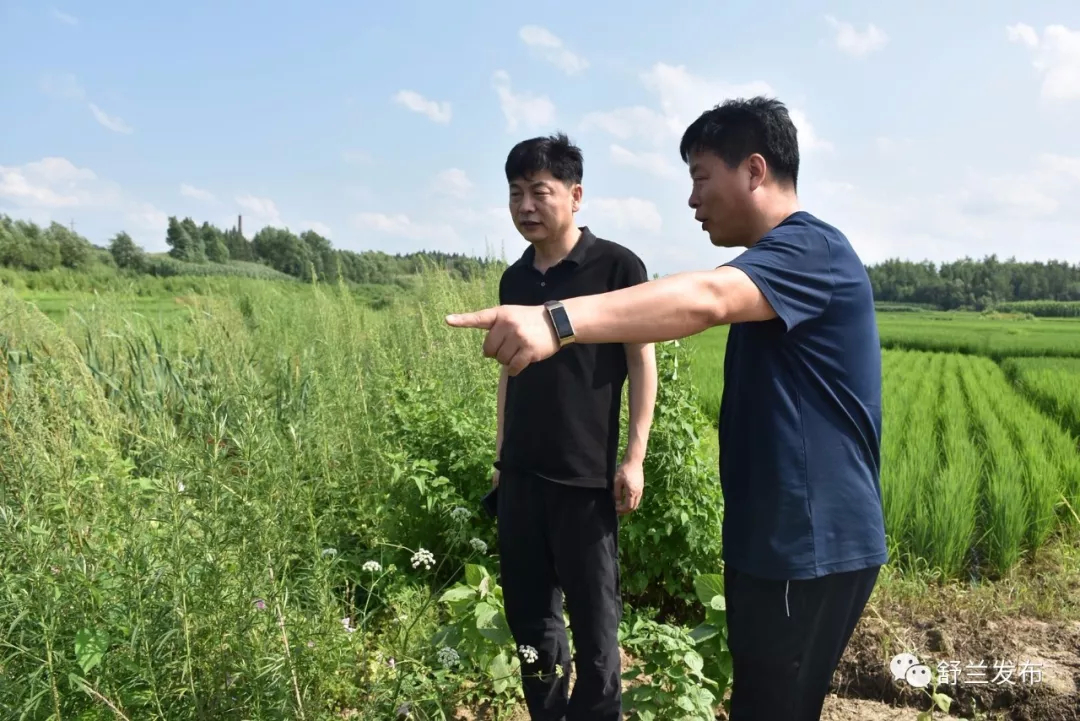 【河长制】舒兰市领导开展巡河工作