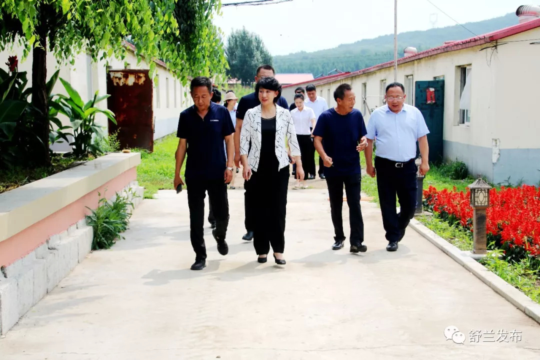 【头条】舒兰市市长金华督导检查农村人居环境整治暨村庄清洁行动夏秋战役开展情况