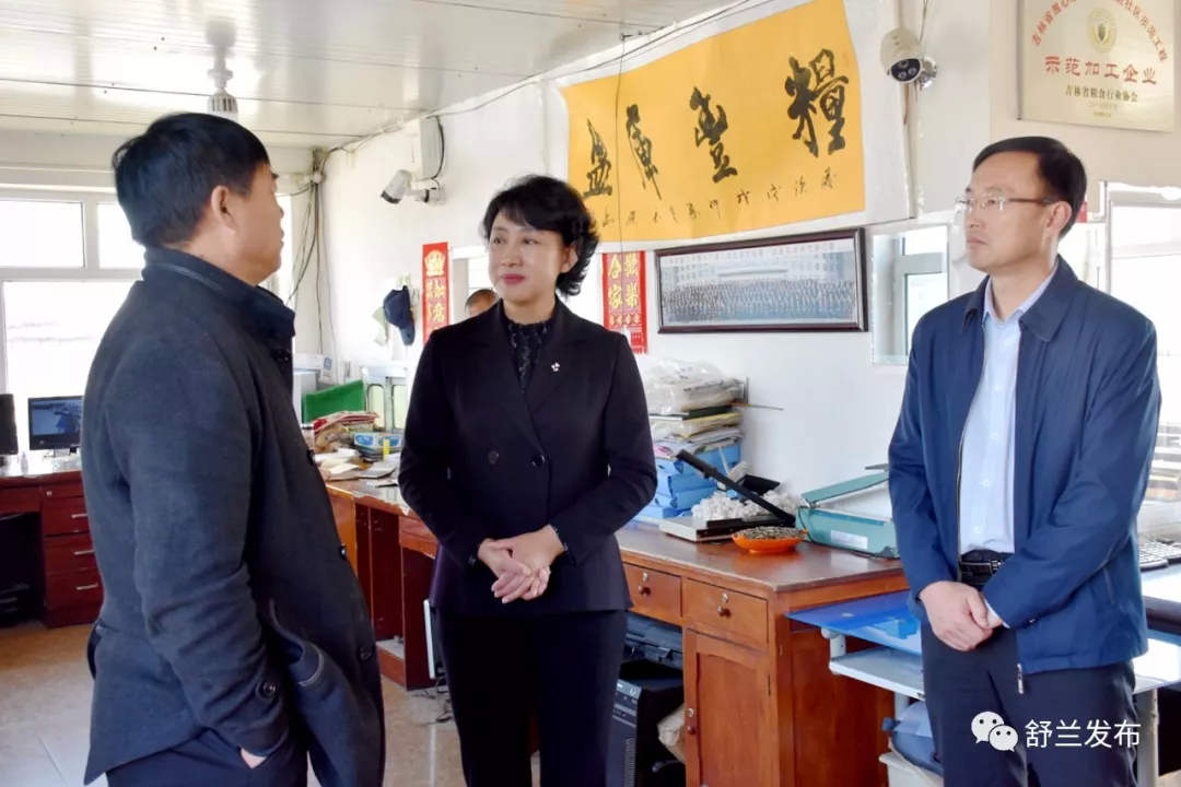 【脱贫攻坚】舒兰市市长金华走访慰问贫困户并调研基层软弱涣散党组织整顿工作