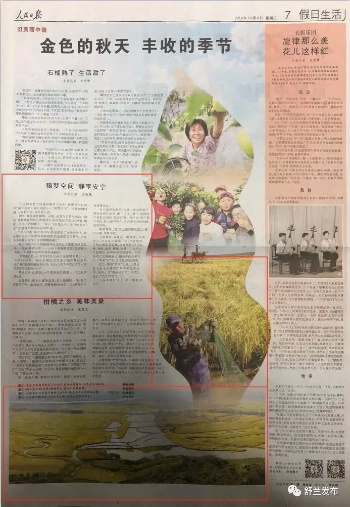 【人民日报】稻梦空间 静享安宁