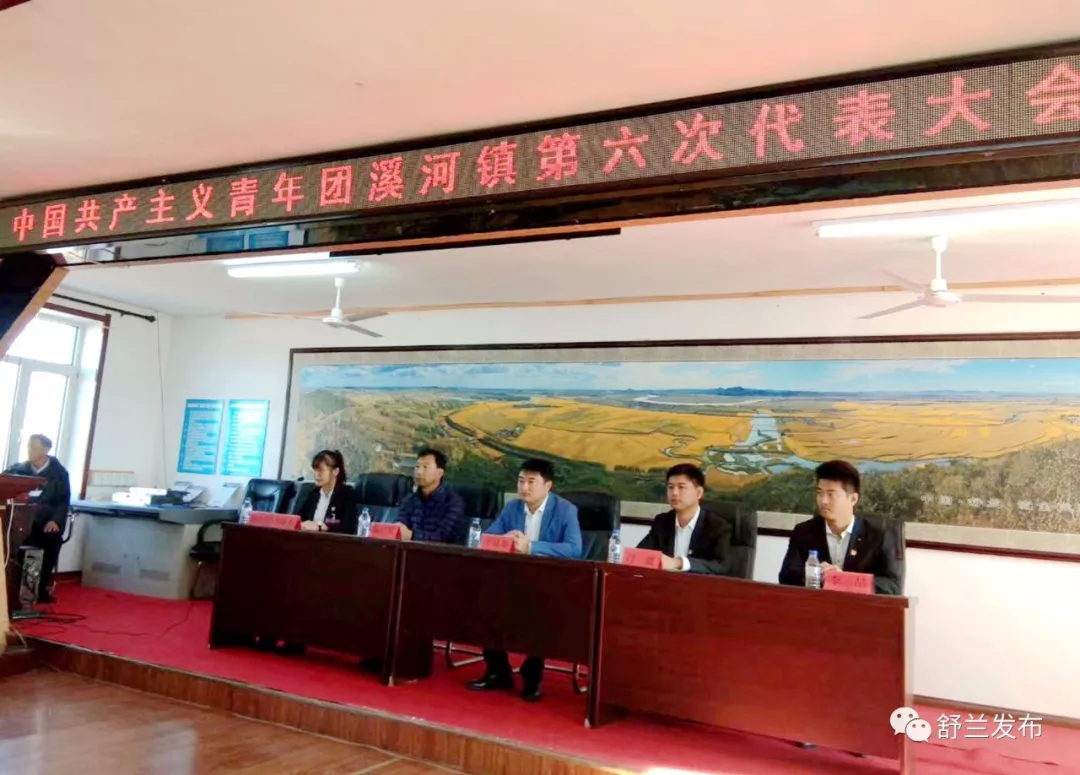 【青年建功】中国共产主义青年团溪河镇第六次代表大会召开