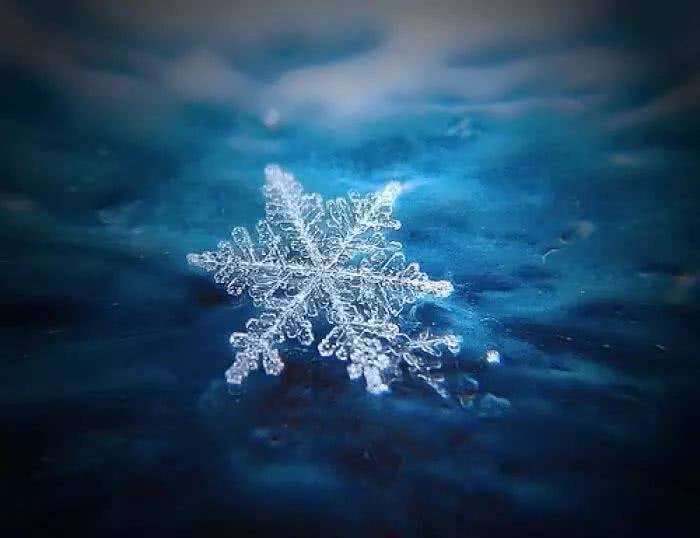 暴雪来袭  做好防御