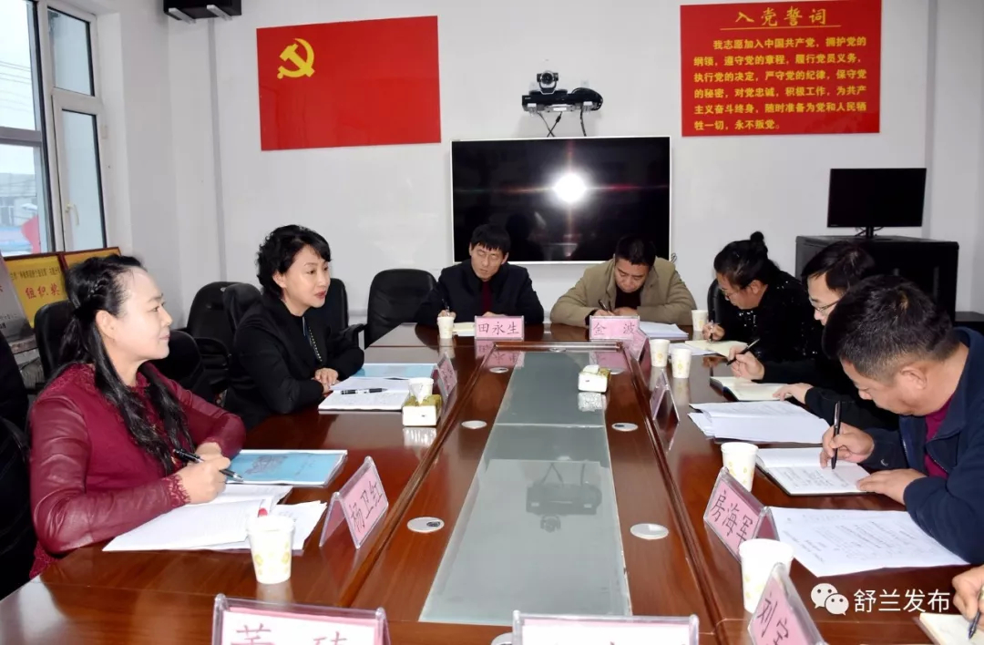 【不忘初心 牢记使命】舒兰市市长金华参加指导莲花乡党委班子主题教育专题民主生活会