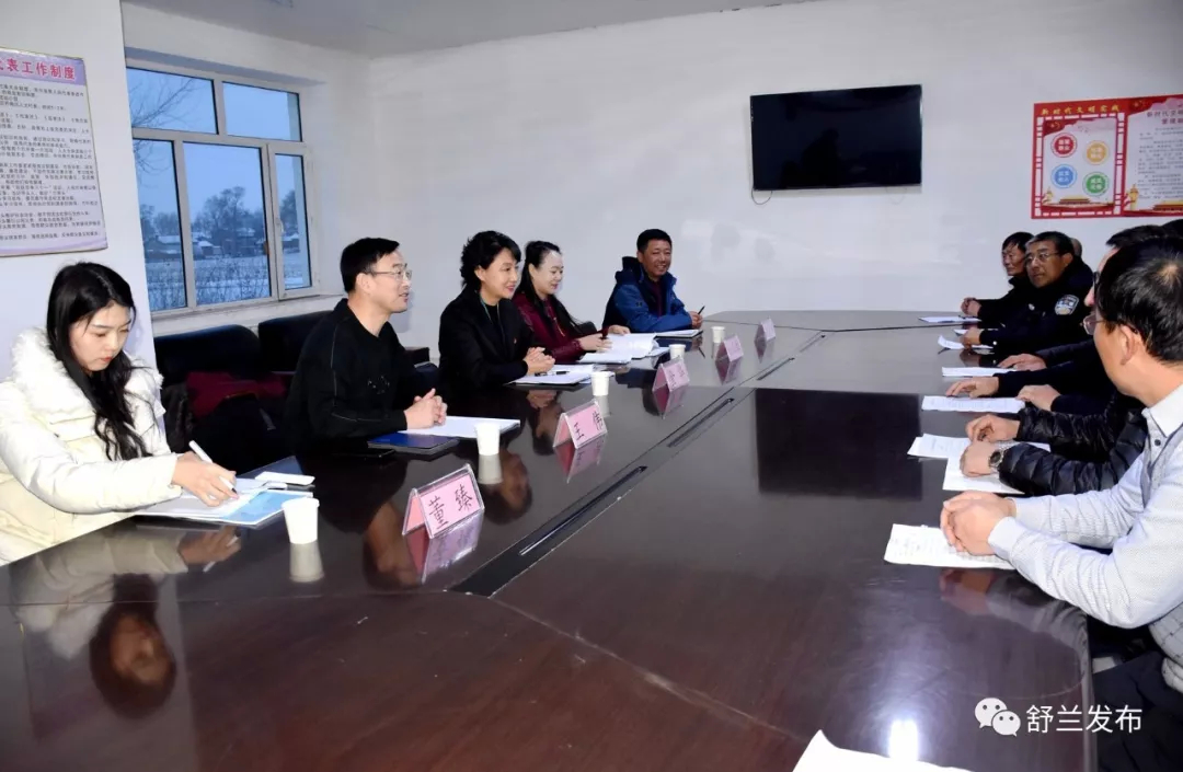 【不忘初心 牢记使命】舒兰市市长金华参加指导莲花乡二岗村主题教育专题组织生活会