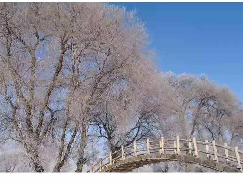 【文旅中国】打造“冰雪+旅游”“冰雪+文化” 把“冷资源”变成“热经济”