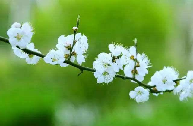 天气回暖，风力加强