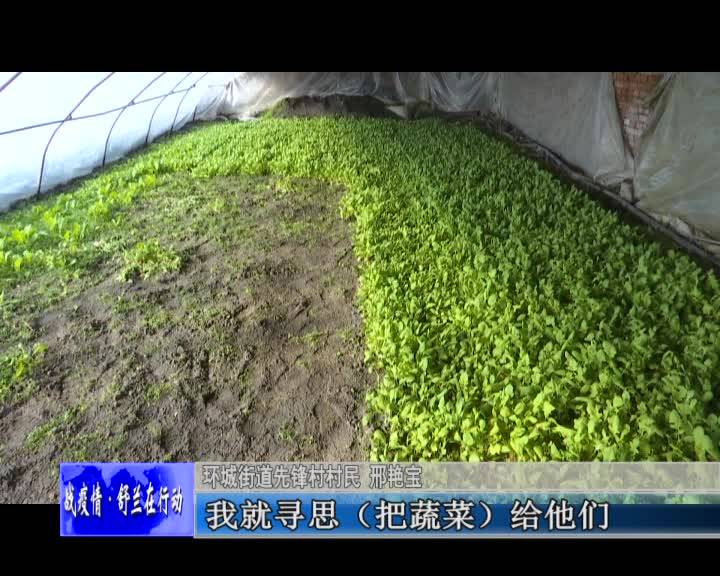 邢艳宝：抗击疫情献爱心 爱心蔬菜暖人心