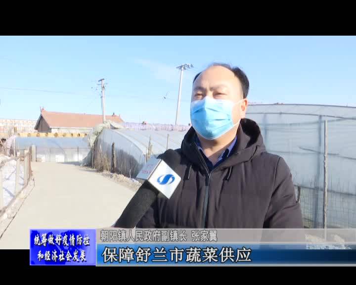 朝阳镇抢抓农时备春耕 防疫生产两不误