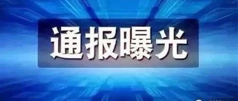 吉林省通报7起违规配备使用公务用车典型问题