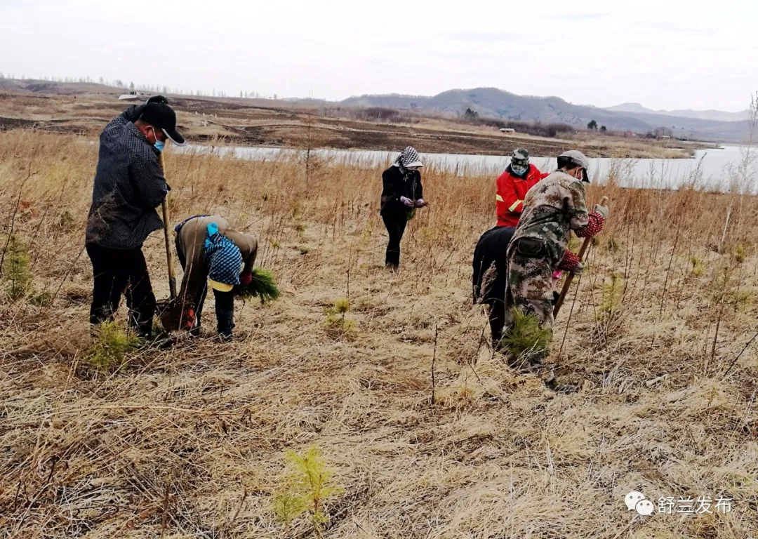 【林业】春回大地 舒兰植树造林正当时