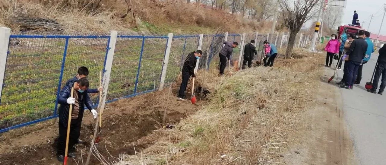 上营镇新时代文明实践志愿者、团员青年服务活动 ——组织义务植树活动