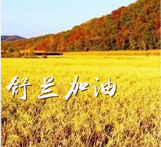 美丽舒兰，为你加油