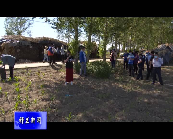 舒兰市农业农村局开展草地贪夜蛾监测防控应急演练现场会