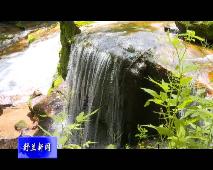 金华调研“林海雪原·谧静青松”森林旅游项目