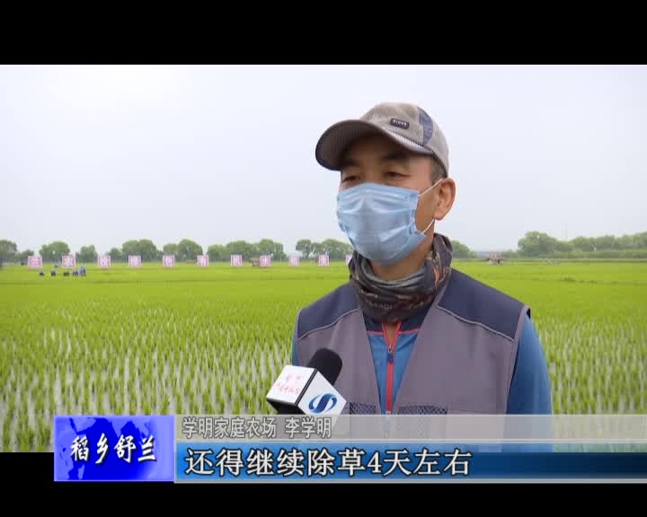 种粮大户李学明的十余年坚守