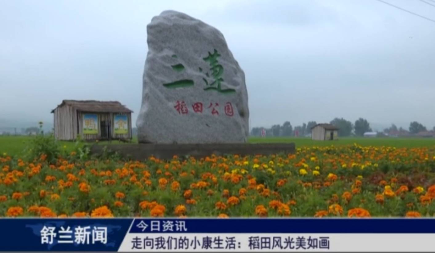 走向我们的小康生活：稻田风光美如画