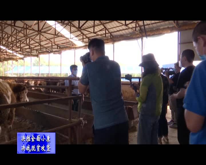 多家媒体到舒兰市开展专题采访 聚焦“群众身边的脱贫带头人”